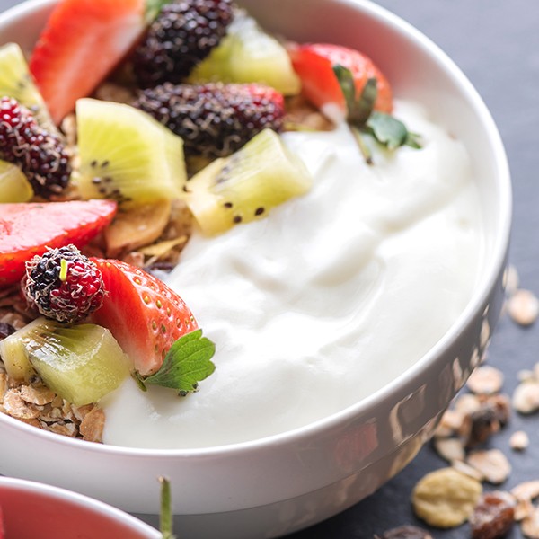 Fruit Yogurt Packaging - Teknika Packaging